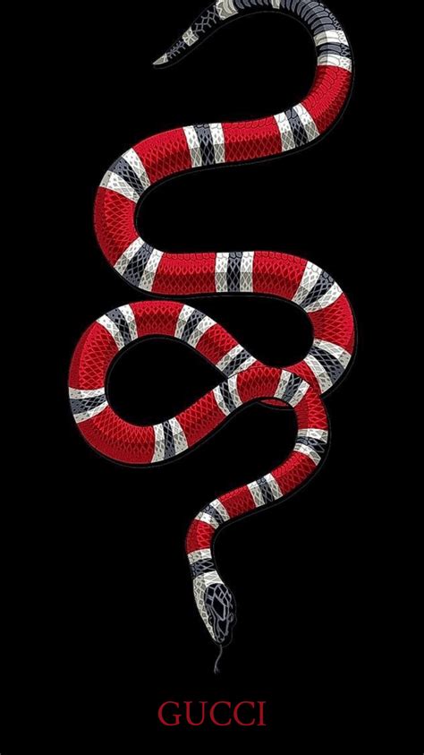 gucci dnake|gucci snake collection.